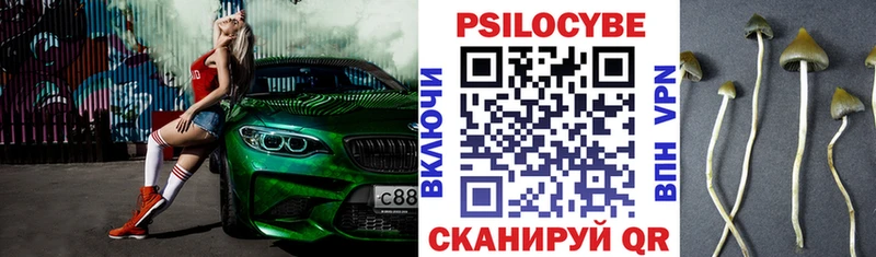 Псилоцибиновые грибы MAGIC MUSHROOMS  Александров 